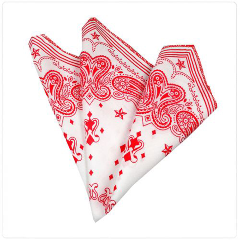 Men's Pink White Paisley Pocket Square Hanky Handkerchief - Amedeo Exclusive