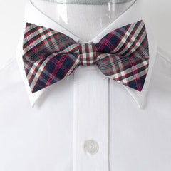 Men's  Blue & Pink Nova Plaid Pre-Tied Bow Tie - Amedeo Exclusive