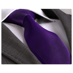 Amedeo Exclusive Men's Fashion Blue With Paisley Silk Neck Tie Gift Box - Amedeo Exclusive